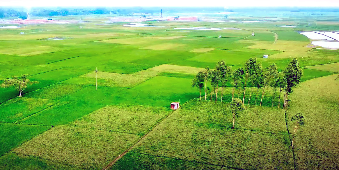 Kurigram